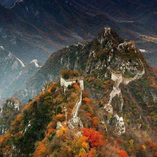 长城6